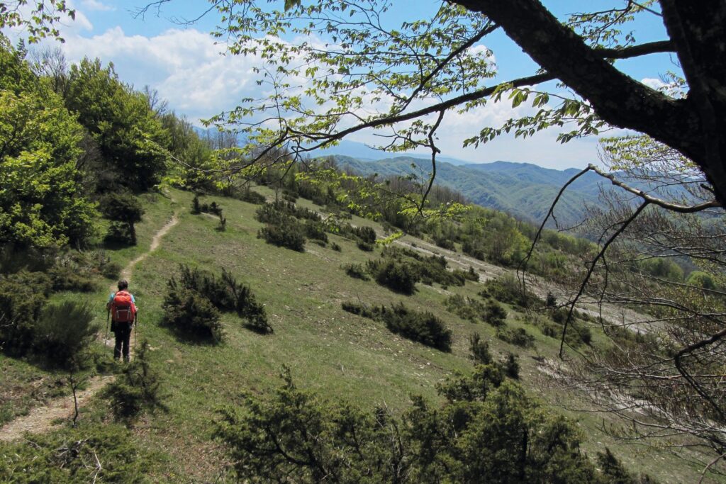 Il Cammino di Dante, prima del passo dell’Eremo