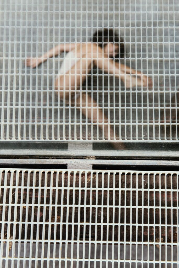 Anima_L al Museo d’arte contemporanea Castello di Rivoli 